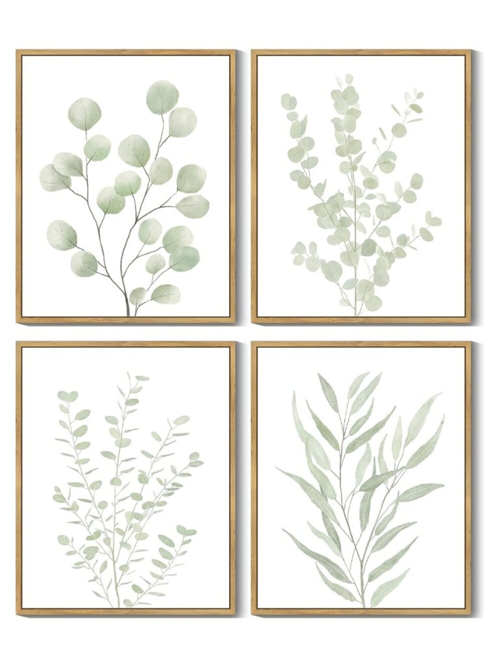 Botanical Plant Framed Wall Art Set of 4 8x10